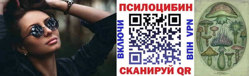 OMG ССЫЛКА  Тбилисская  Галлюциногенные грибы мухоморы 